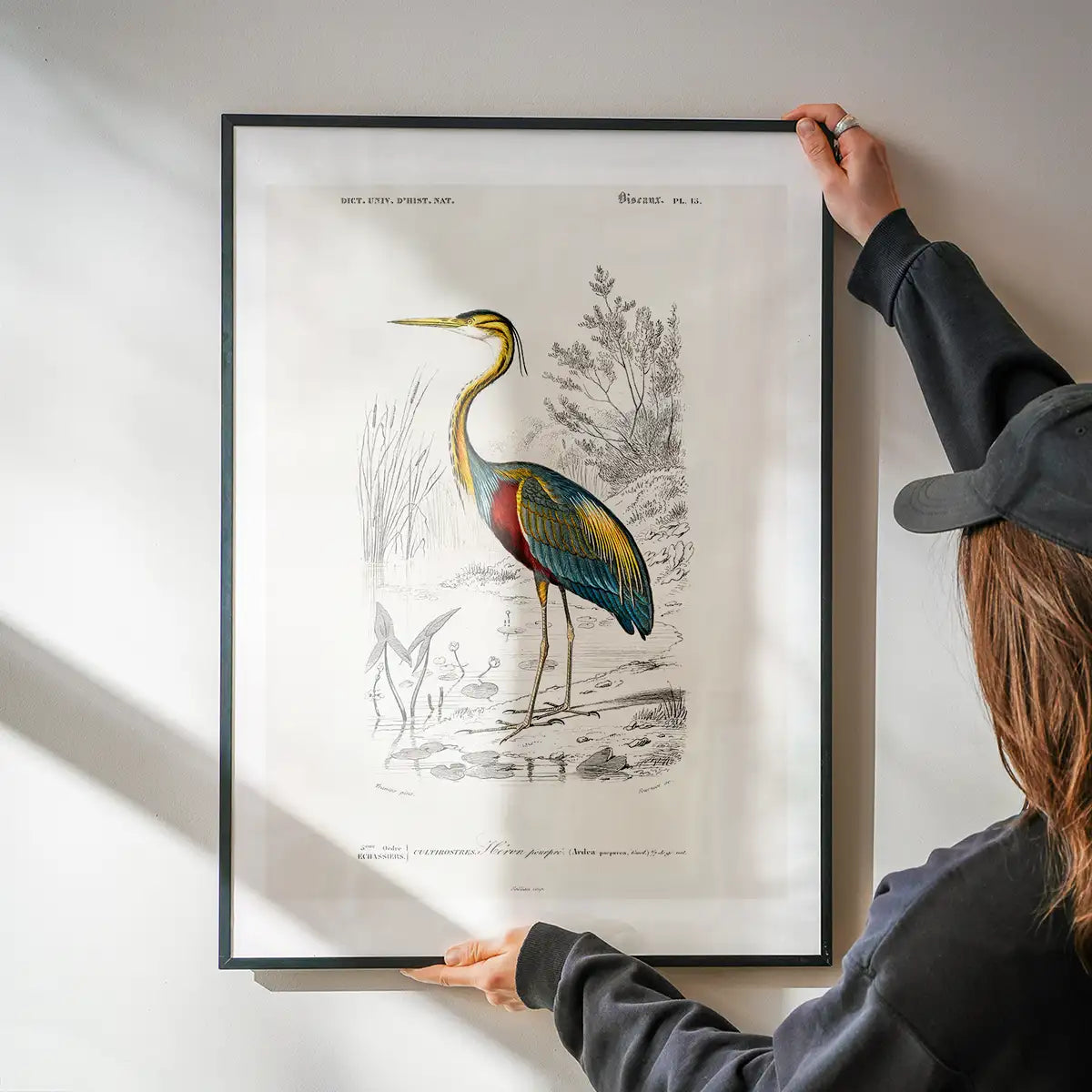 Heron Vintage Bird Print