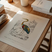 Heron Vintage Bird Print