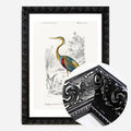 Black Ornate Frame