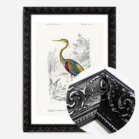 Heron Vintage Bird Print