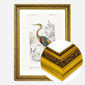 Gold Ornate Frame