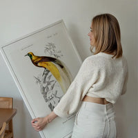 Bird of Paradise Vintage Bird Print