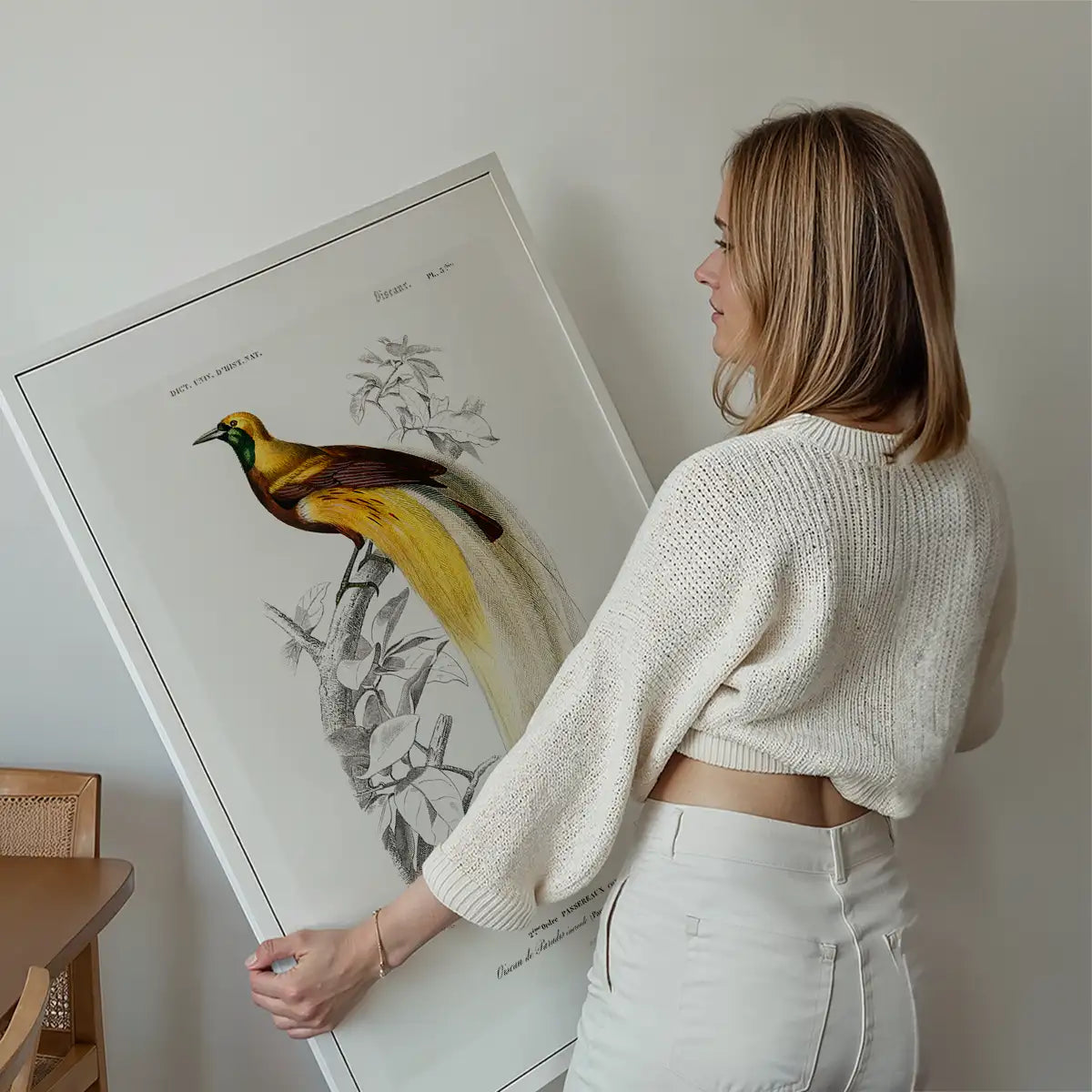 Bird of Paradise Vintage Bird Print