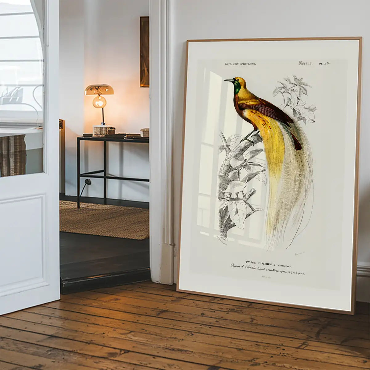 Bird of Paradise Vintage Bird Print