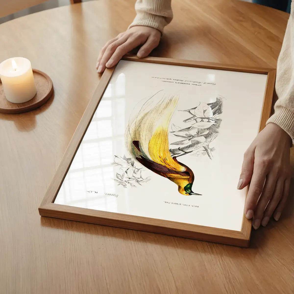Bird of Paradise Vintage Bird Print