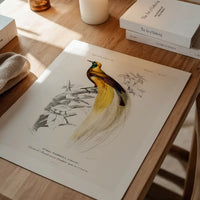 Bird of Paradise Vintage Bird Print