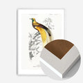 White Wood Frame
