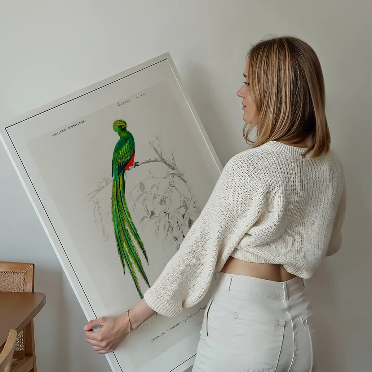 Peacock Trogon Vintage Bird Print