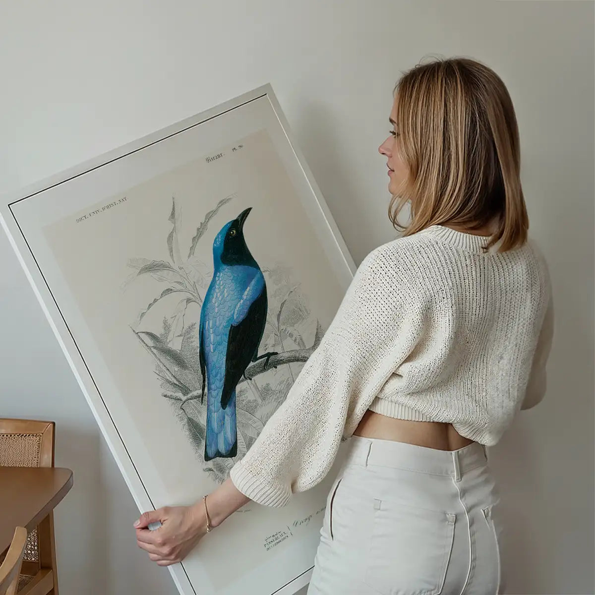 Drongo Vintage Bird Print
