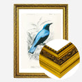 Gold Ornate Frame