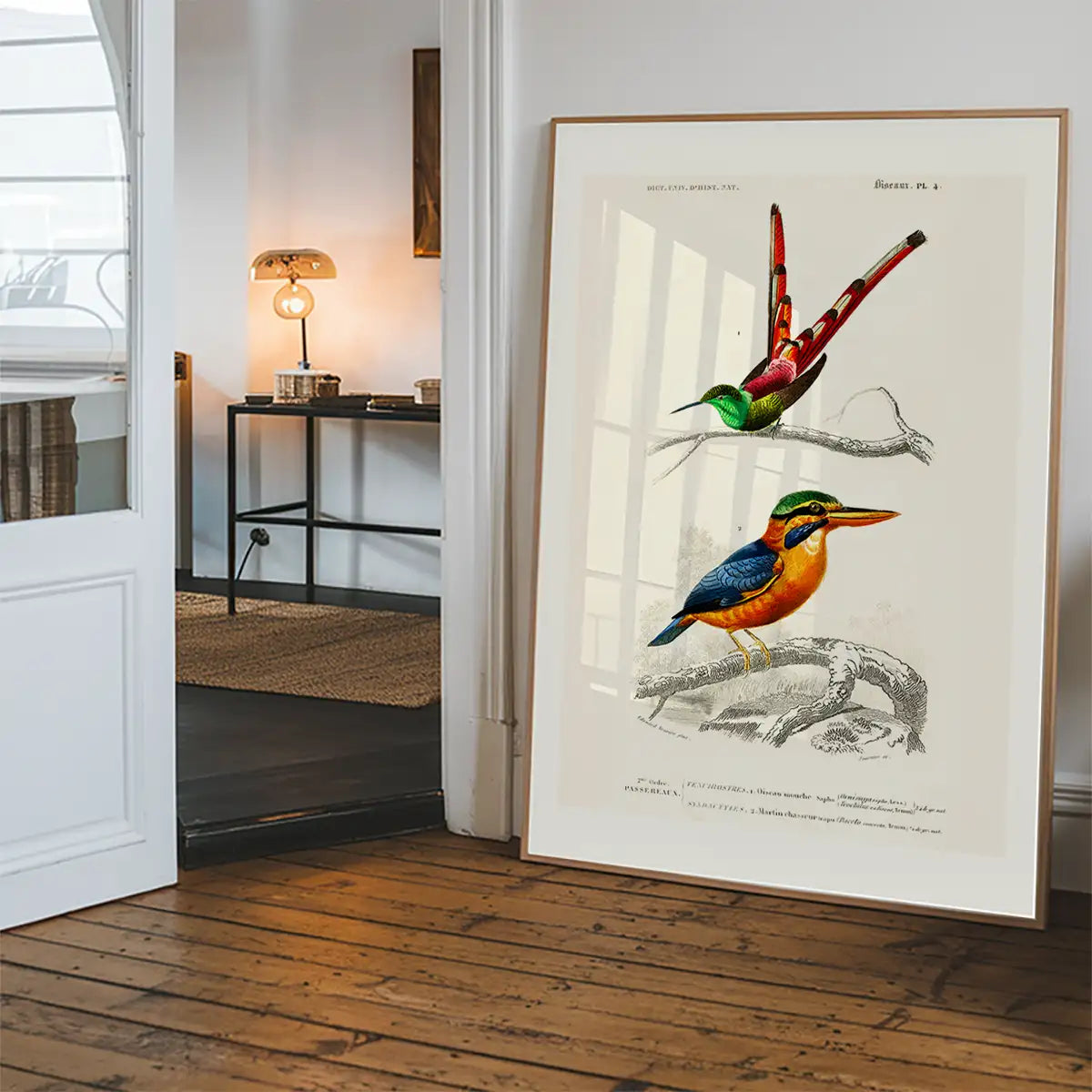 Kingfisher Passerine Vintage Bird Print