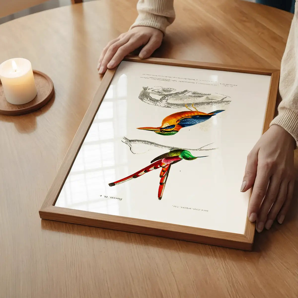Kingfisher Passerine Vintage Bird Print