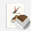 White Wood Frame