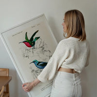 Hummingbird Vintage Bird Print