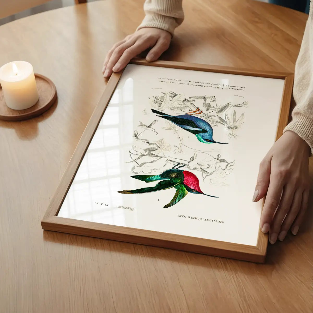 Hummingbird Vintage Bird Print