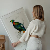 Pheasant Vintage Bird Print