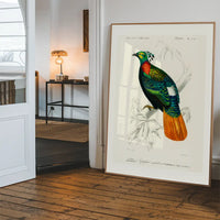 Pheasant Vintage Bird Print