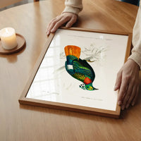 Pheasant Vintage Bird Print