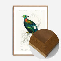 Pheasant Vintage Bird Print