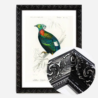 Pheasant Vintage Bird Print