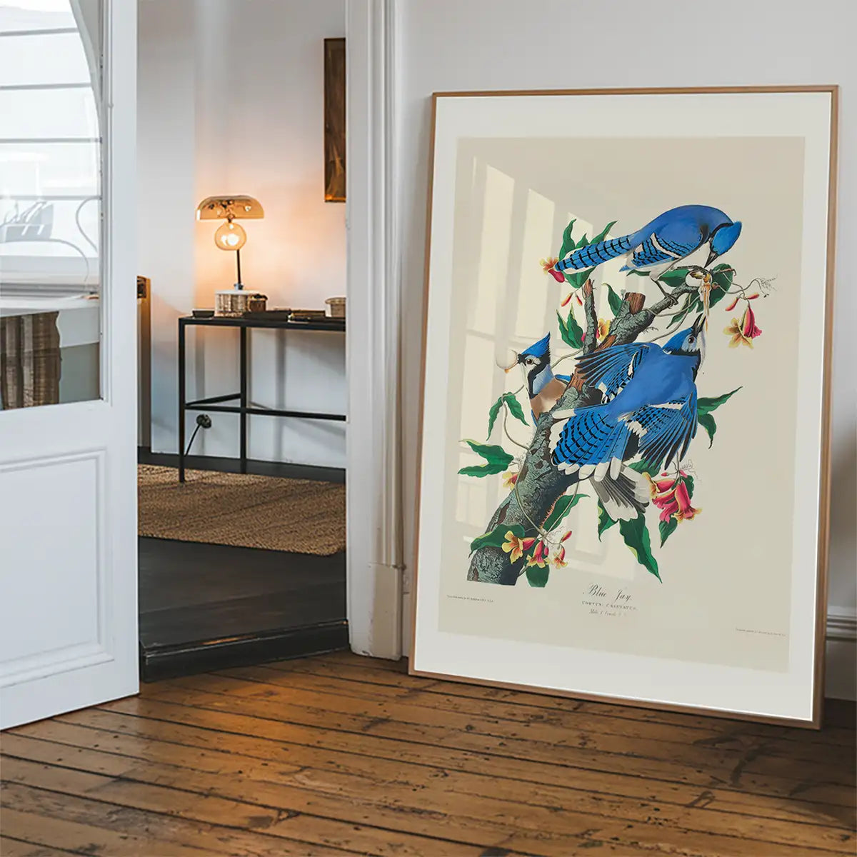 Blue Jay Vintage Bird Print