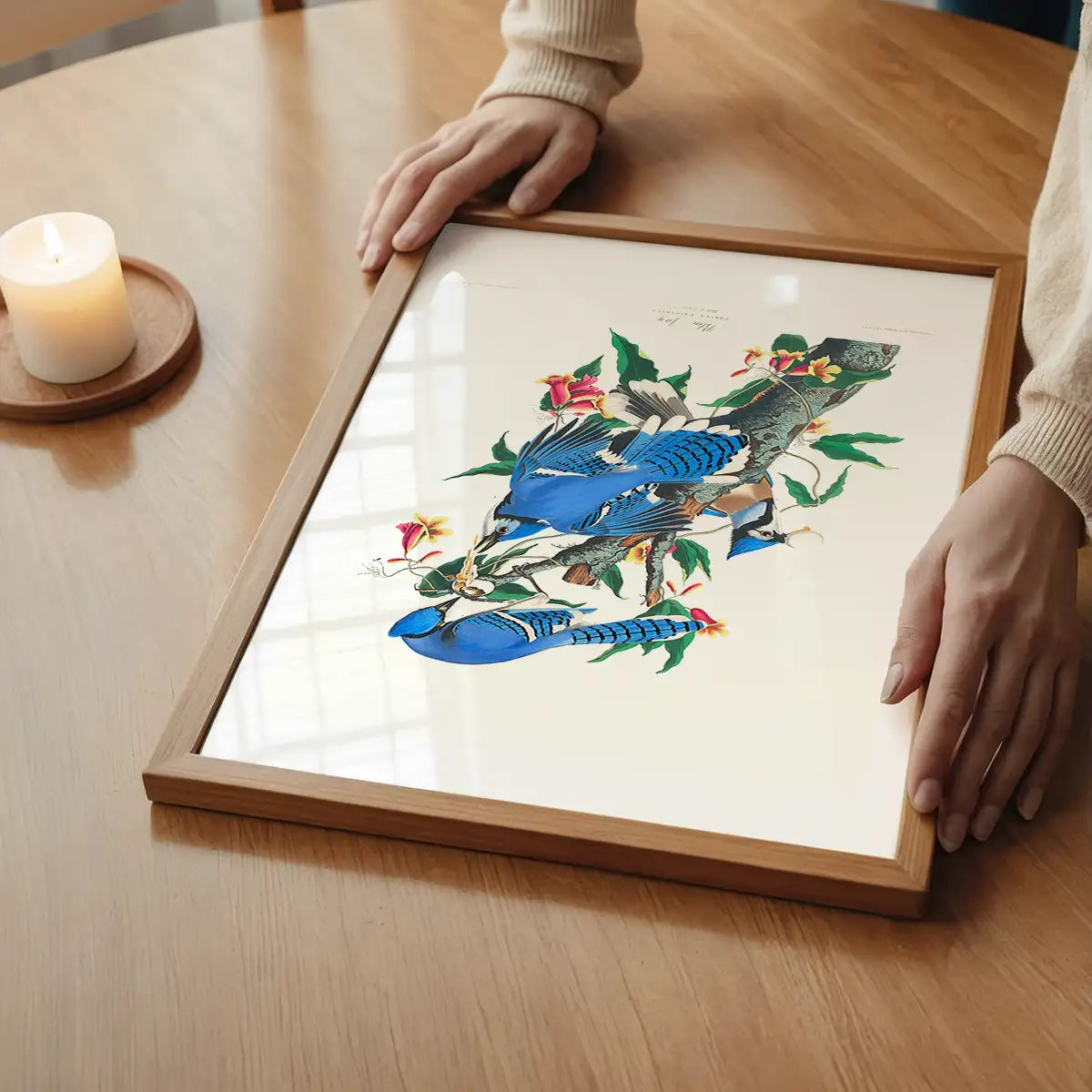 Blue Jay Vintage Bird Print
