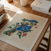 Blue Jay Vintage Bird Print