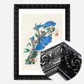 Black Ornate Frame