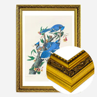 Blue Jay Vintage Bird Print