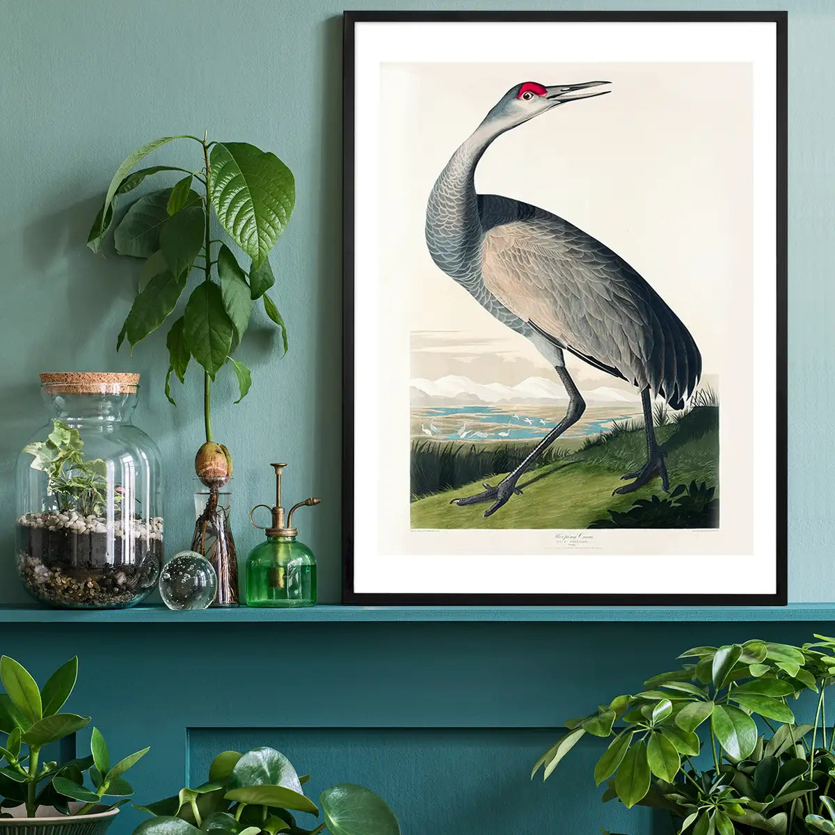 Whooping Crane Vintage Bird Print