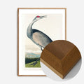 Oak Wood Frame