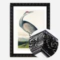 Black Ornate Frame