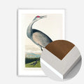White Wood Frame