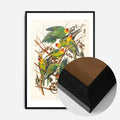 Black Wood Frame