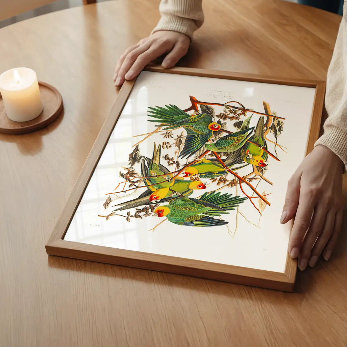 Carolina Parrot Vintage Bird Print