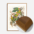 Oak Wood Frame