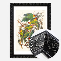 Carolina Parrot Vintage Bird Print