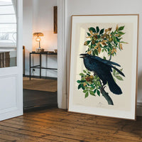 Raven Vintage Bird Print