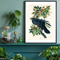Raven Vintage Bird Print