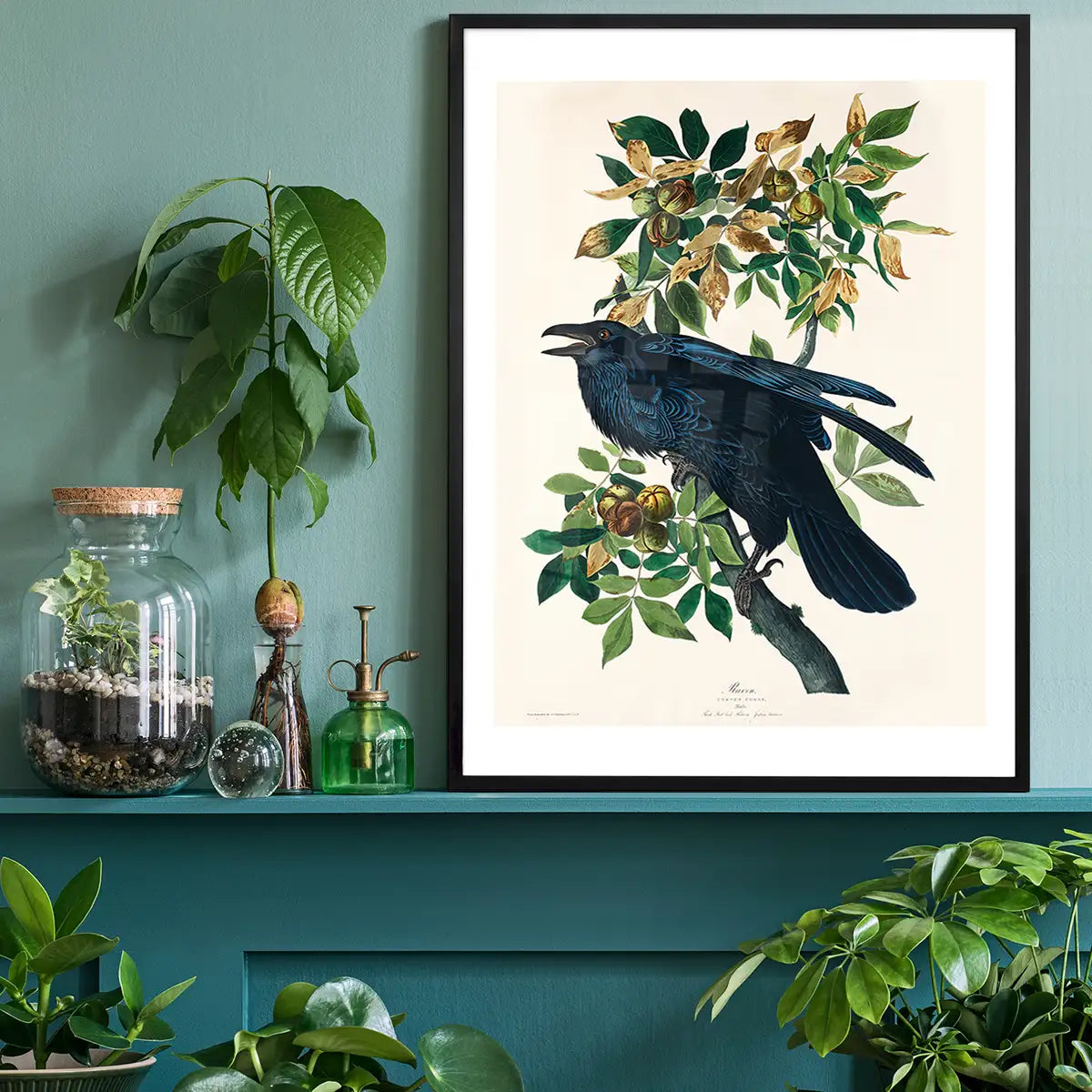 Raven Vintage Bird Print