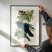 Raven Vintage Bird Print