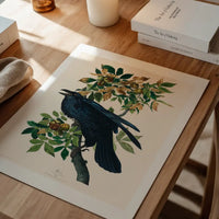 Raven Vintage Bird Print