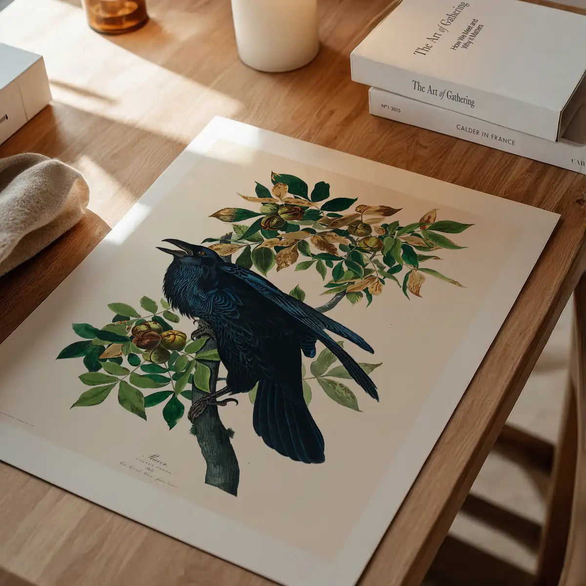Raven Vintage Bird Print