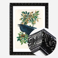 Black Ornate Frame