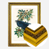 Raven Vintage Bird Print