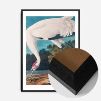 Whooping Crane 2 Vintage Bird Print