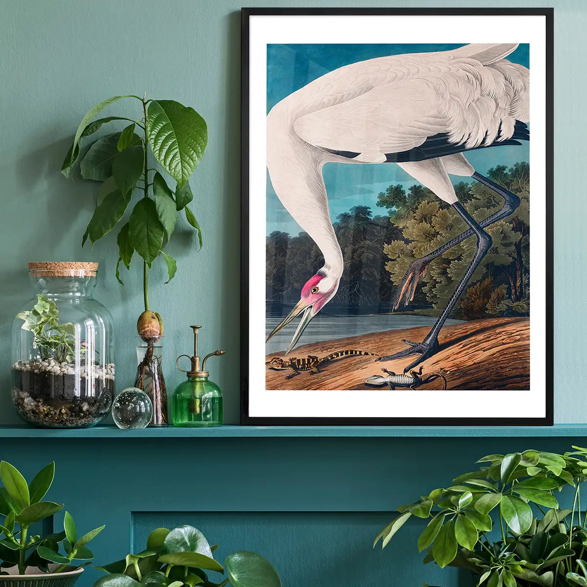 Whooping Crane 2 Vintage Bird Print