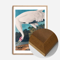 Whooping Crane 2 Vintage Bird Print