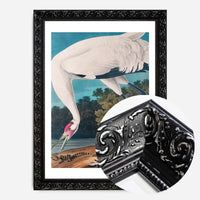 Whooping Crane 2 Vintage Bird Print
