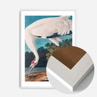 Whooping Crane 2 Vintage Bird Print